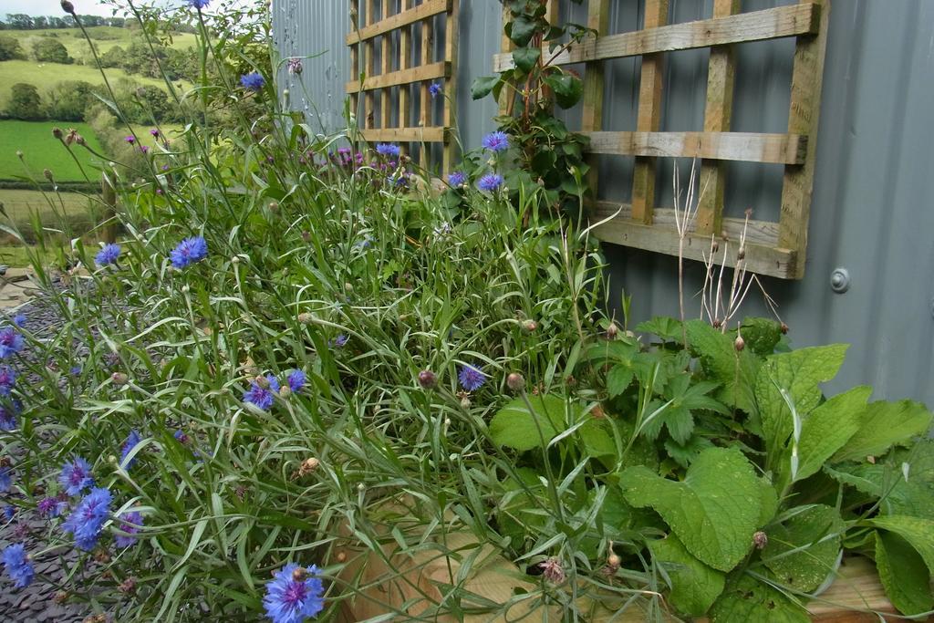 Rhiwiau Self Catering Villa Carmarthen Eksteriør bilde